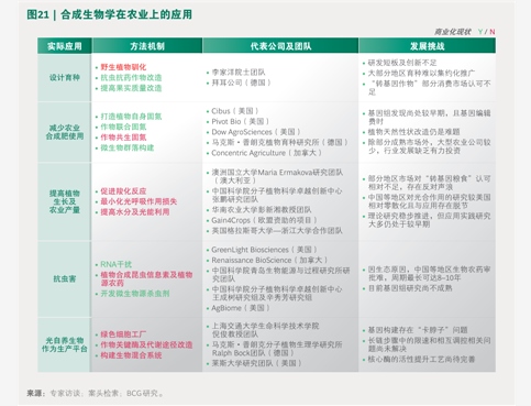 2025年中國(guó)區(qū)域能源體系行業(yè)研究報(bào)告 智能電網(wǎng)技術(shù)咨詢視角